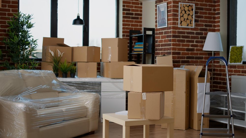 pro-packersandmovers|Office Relocation