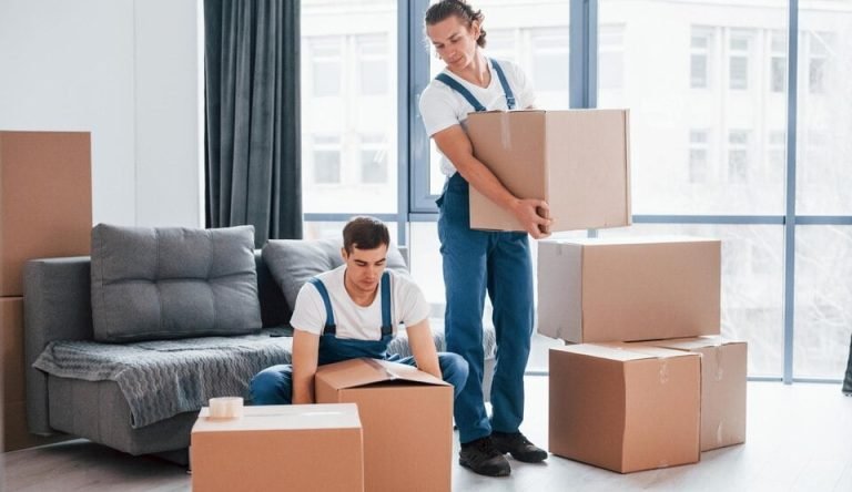 20230929131604_[fpdl.in]_busy-day-two-young-movers-blue-uniform-working-indoors-room_146671-52124_large